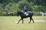 WJ6_5771