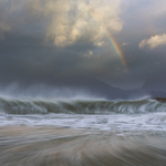White Horses at Sunrise