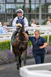 220726-Race 3-Wise Crack-9626