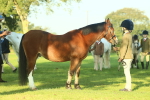 SBM_57442