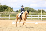 SBM_002984