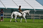 SBM_03709