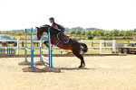 SBM_006462