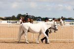 SBM_10940