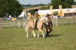 SBM_10193