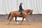 SBM_001504