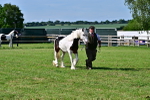 SBM_10038