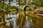 Black Devon Bridge