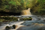 Yorkshire portfolio