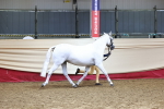 SBM_22265