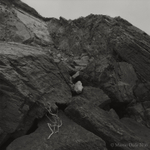 Rockfall and fallen twig, Marloes Sands, Pembrokeshire, Wales