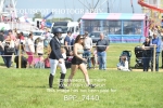 BPP_7440