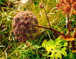 20100901_0278_2