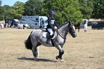 WJ6_9196