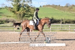 BPP_9557
