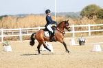 SBM_016951