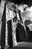 Jedburgh Abbey - 8429 bw