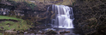 Velvet Water, East Gill Falls