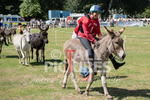 Donkey Derby_2016-10