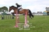BPP_6553