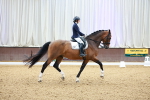 SBM_003741