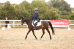 SBM_000253