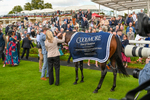 230824-Race 4-Bradsell-9133