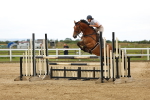 SBM_009371