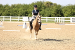 SBM_010271