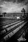 Portfolio 7