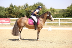 SBM_003974