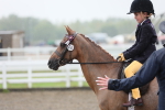 Class 804 - Ridden Veteran Pony portfolio