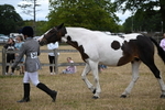 WJ6_8288
