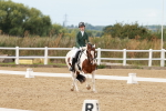 Classes 13, 19 - AM5 & FEI Pony Team Test portfolio