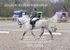 BPP_8803