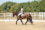 SBM_002494