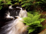 Wyming Brook #2