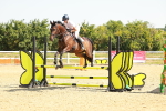 SBM_000536