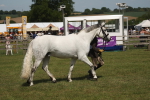 SBM_07626