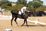 SBM_003910