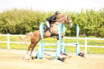 SBM_001986