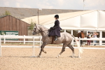 SBM_06731