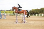 SBM_006560