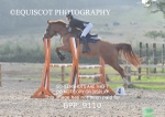 CLASS 5 -  Senior Newcomers/ 1.10m Open portfolio