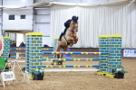 SBM_004032