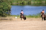 WJ6_8752