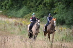 WJ6_2461