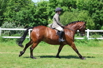 3E7A7201