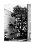 Winter - rue de St Jean