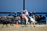 3HRodeo8-11-25_PRCASteer_02325_